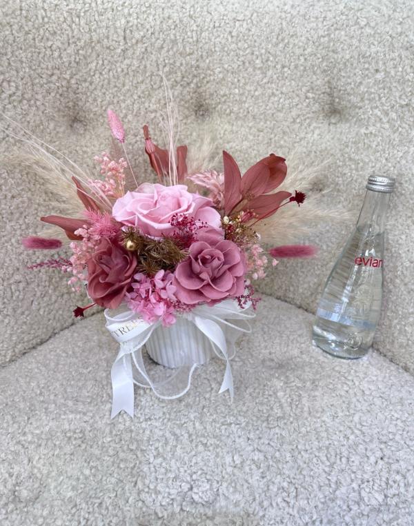 永生乾燥盆花