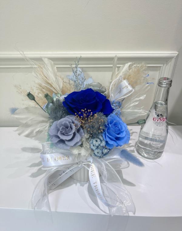 永生乾燥盆花